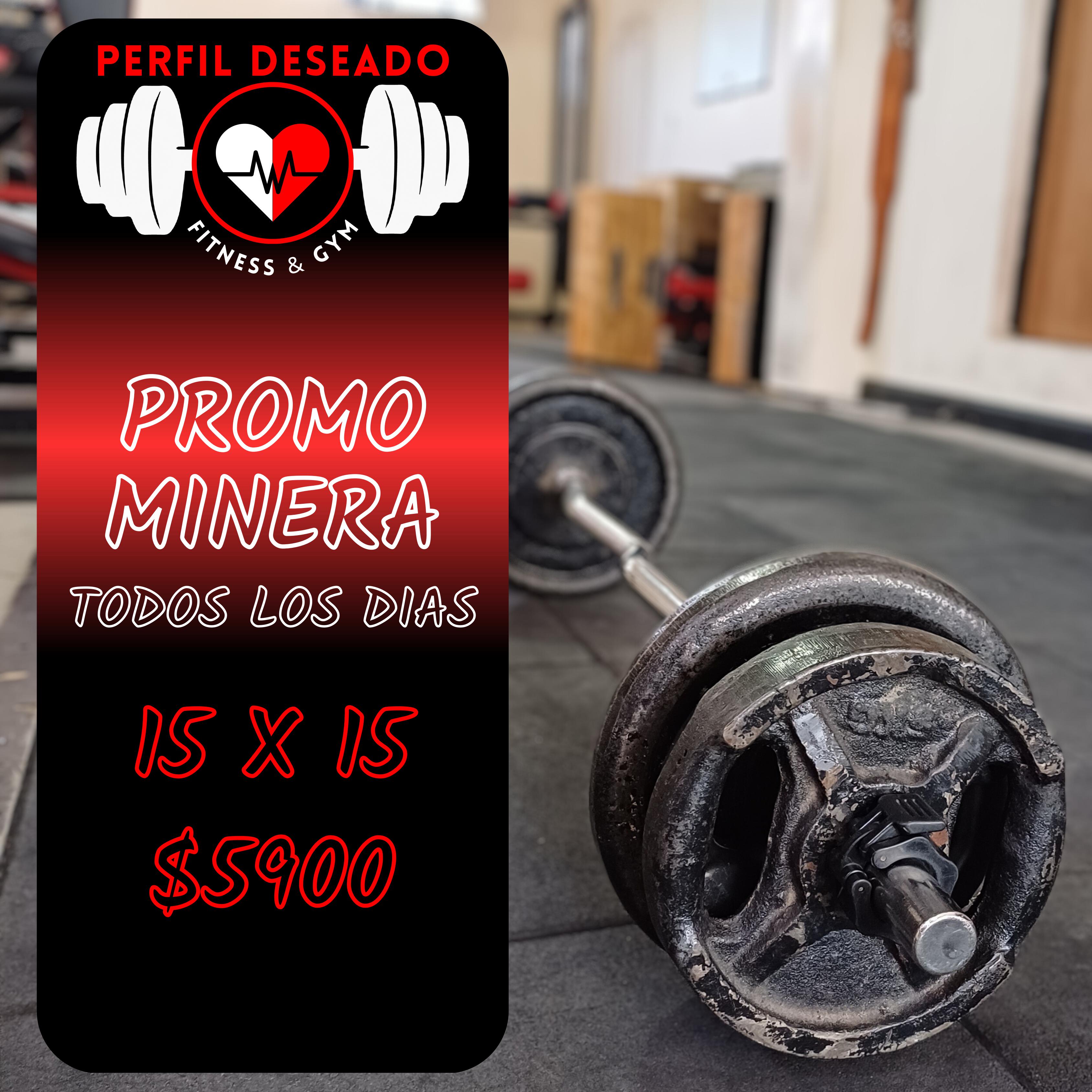 PROMOCION MINERA